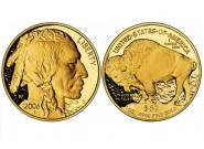 La moneta d'oro Buffalo americana